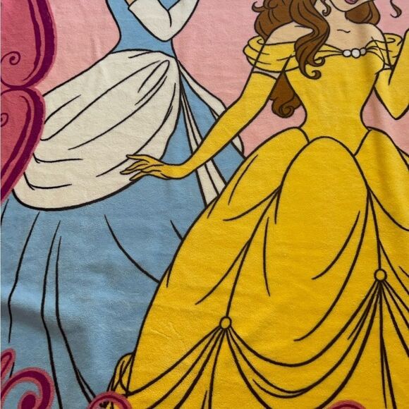 Disney Princess Cinderella and Belle Micro Raschel Twin Blanket; 62" x 90" - Picture 11 of 14